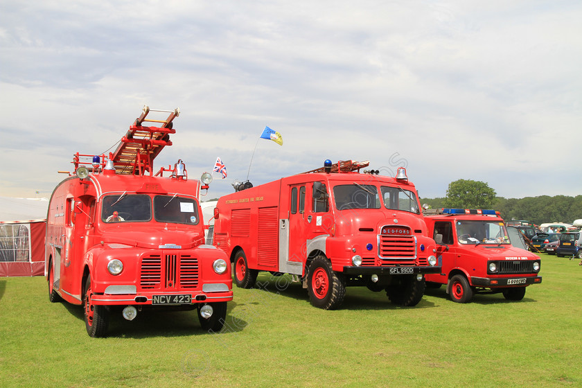 IMG 9419 
 Line up of three fire engines, Austin, Bedford, 1983 Rover. 
 Keywords: Vintage Fire Engines Austin Bedford Rover Emergency Vehicles Ladder Hose Red Blue Light Diesel Engine Wheel Wheels Tyre Tyres Rescue Tender